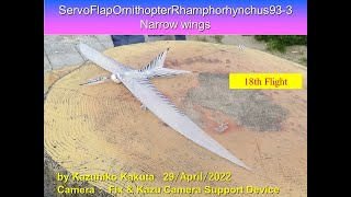 サーボ駆動翼竜型羽ばたき機　ServoFlapOrnithopter Rhamphorhynchus93-3 29g 18th Flight