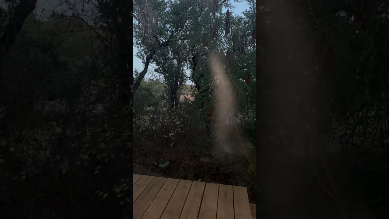 Just one crone’s advice to the maidens in her kingdom. 