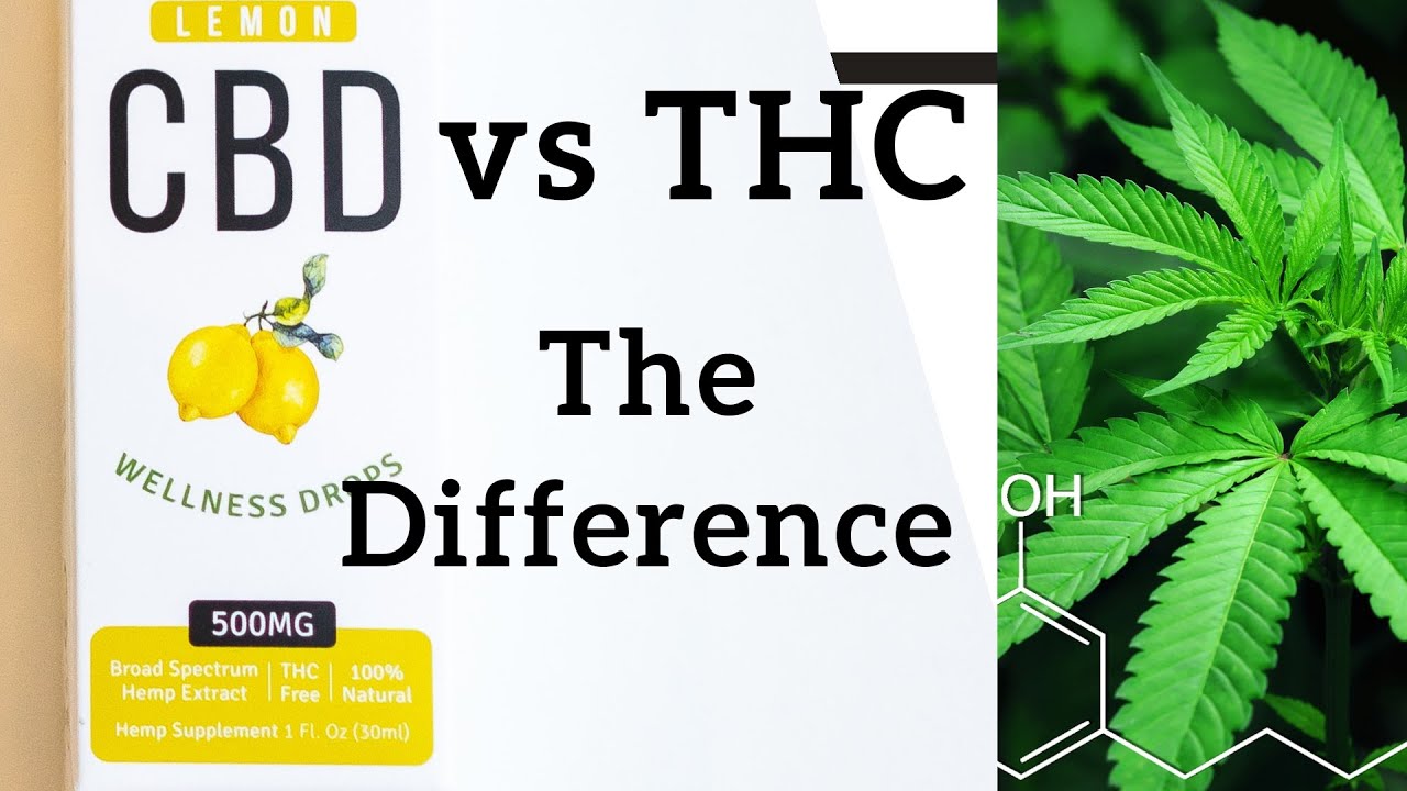 CBD vs THC - YouTube