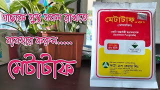 মটটফ কন বযবহর করবন মটটফ কখন বযবহর কর যব মটটফ ২৫ ডবলউ প মটলকসল