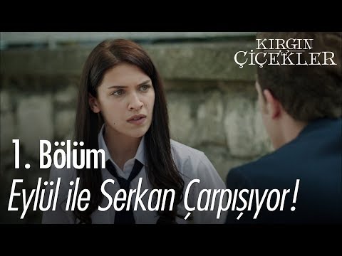 Eylül ile Serkan çarpışıyor! - Kırgın Çiçekler 1. Bölüm