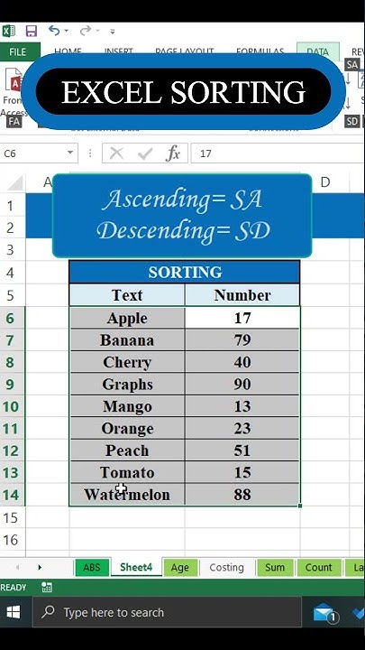 How To Sort Data In Excel | Data Sorting In Excel | Sorting Shortcut ...