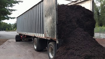 Walking floor trailer unloading mulch