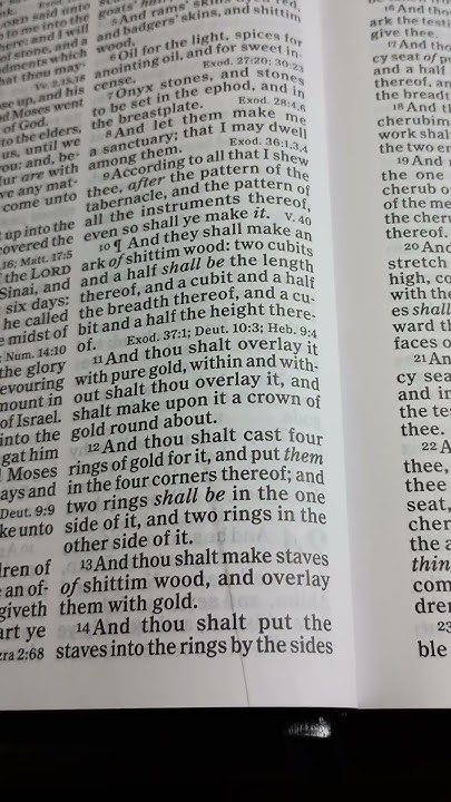 Exodus Chapter 25 Verse 11 13 bible biblereading bibleverse exodus-chapter-25-verse-11-13-bible-biblereading-bibleverse