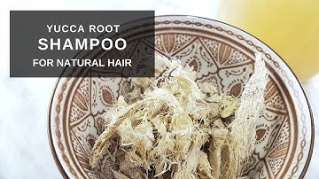 Yucca Root Shampoo for HEALTHY Hair | 4c natural hair