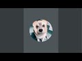 Kaya the Klee is live!