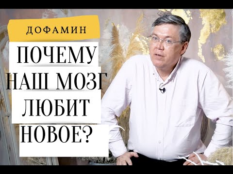 Почему Мы Любим Все Новое Дофамин В Дубынин