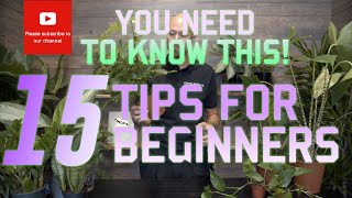You need to know this! 15 🪴tips for beginners