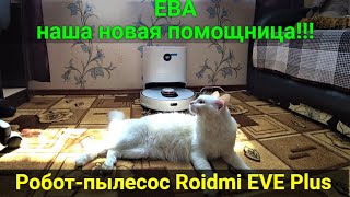 A new assistant!!! Roidmi EVE Plus robot vacuum cleaner.