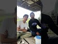 Habung dairies