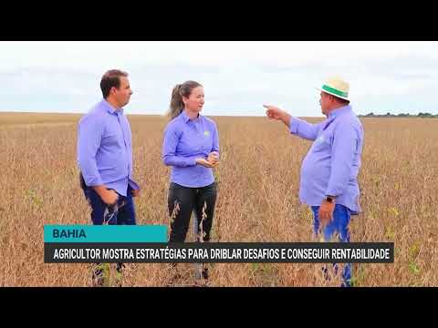 Agricultor mostra estratégias para driblar desafios e conseguir rentabilidade | Canal Rural