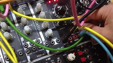 Rings + typhoon + dfam