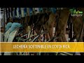 Lecheria Sostenible en Costa Rica- TvAgro por Juan Gonzalo Angel Restrepo