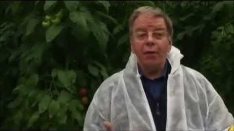 Linear Programming Application - Wight Salads Group