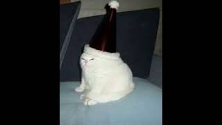 gato cumpleaños meme