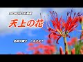 『天上の花』多岐川舞子 カラオケ 2023年5月24日発売
