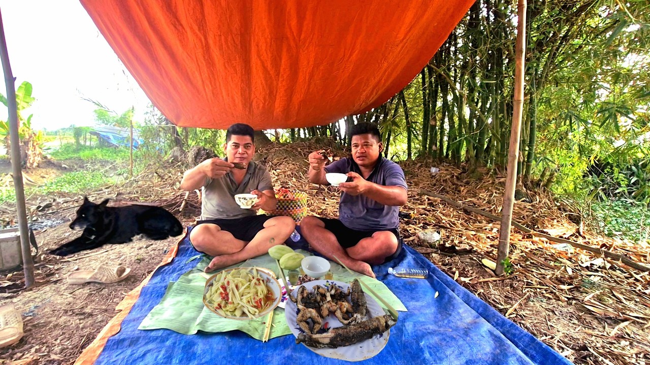 Tập 09.2026 || Chuyến đi săn có rất nhiều bất ngờ || Gà đồng nướng gỏi xoài lai rai ngày cận tết