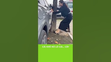 CÁI KHÓ NÓ LÓ CÁI ...CÂY | Nhà 2 lúa #shorts #phunu #giaothong #oto #haihuoc #docla #tinnhanh