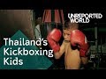 Muay Thai children fighting for cash | Unreported World