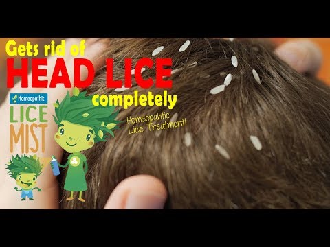 How To Check For Lice And Nits 3 Step Video Procedure