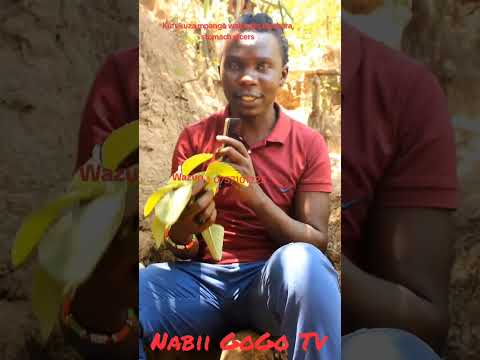 Dawa Hatari Yakufukuza Mpango Wakando Ulcers Cancer