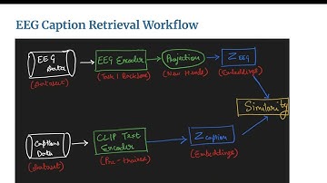 IDL Final Video Presentation