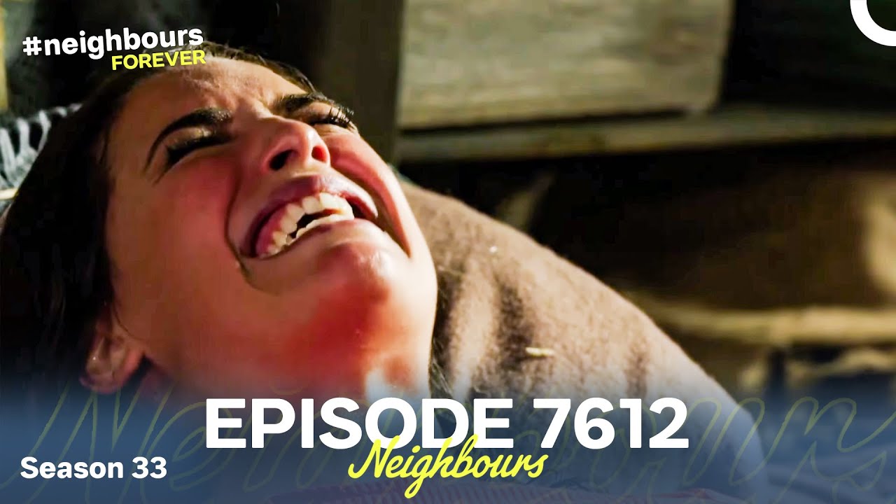Neighbours Season 33 Episode 7612 (2017)