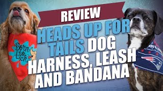 Review Heads Up For Tails Dog Harness, Leash And Bandana