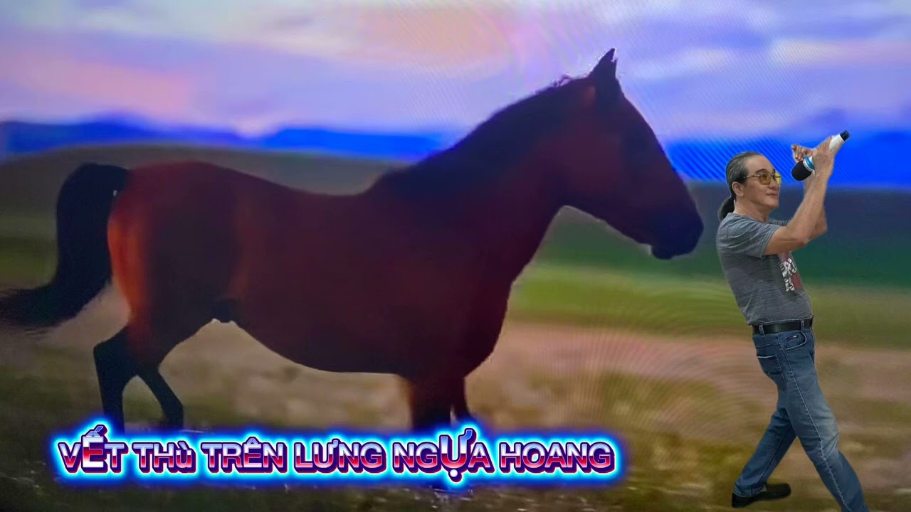 Đức Mỹ 1960 .Cover: VỄT THÙ TRÊN LƯNG NGỰA HOANG.S/T :Phạm Duy & Ngọc Chánh