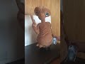 E.T The Extra-Terrestrial Talking E.T 10 Sayings Original Universal Studios