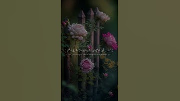 #الله #لا_اله_الا_الله #رح_سمعك #تلاوة_خاشعة #شيخ احمد العجمي #اكسبلور #foryou #viral