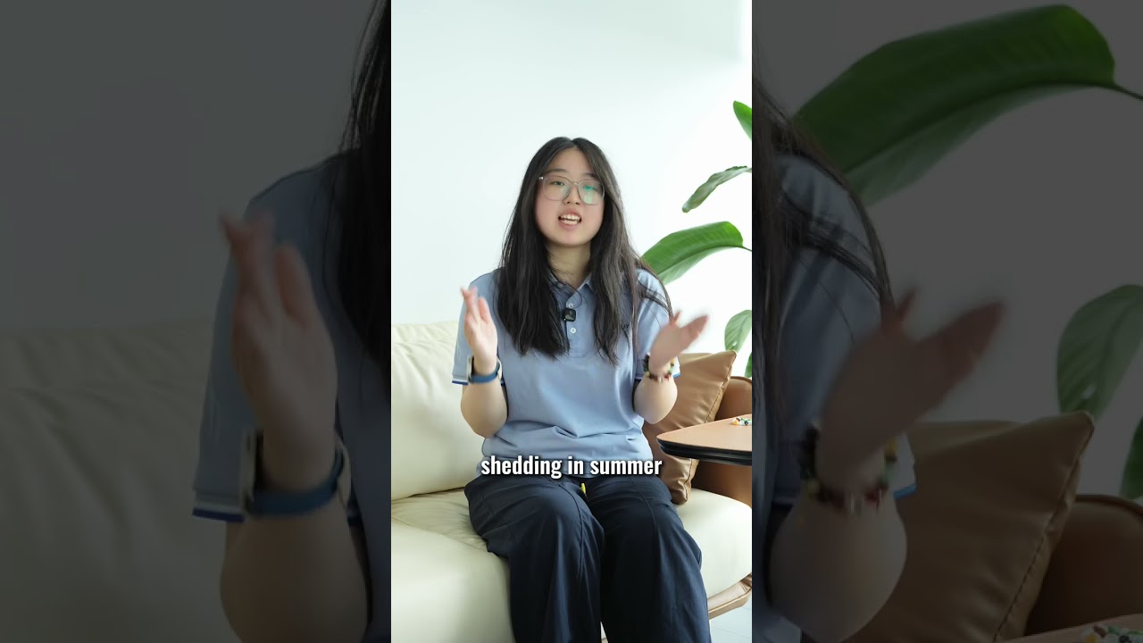 The current hot sellers on Amazon #3 