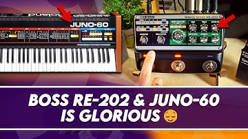 Space Echo RE-202 meets Roland Juno 60 Synth!