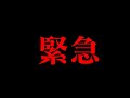 スカイピースさんとコムドットさんの動画について【すずしょうと】