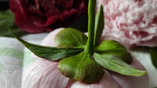 видео: Пион из холодного фарфора, Чашелистики, прилистники тонировка /cold porcelain peony стебелёк 4 часть картинка: Пион из холодного фарфора, Чашелистики, прилистники тонировка /cold porcelain peony стебелёк 4 часть
