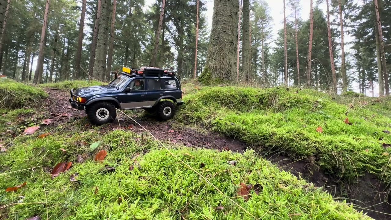 Trailtrucks in the woods.