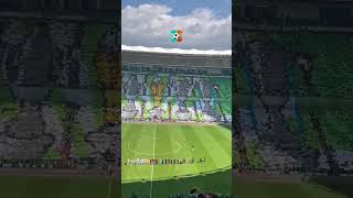 Bursaspor taraftarının şampiyonluk maçında yaptığı harika koreografi 🔥#altligler #Bursaspor