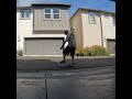 Fakie manuals at 55 almost got the full pivot out! #skateboarding #beginnerskater #skateboardvibes