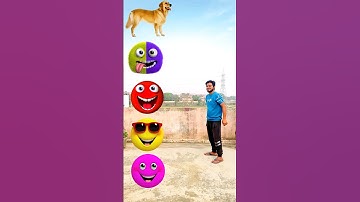 Face emojis to dog cat monkey rabbit goat funny magic vfx new video 😂 #funny #shorts