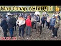 Ураа МАЛ БАЗАР АЧЫЛДЫ 🐎 СООДА ЖАКШЫ ЖҮРДҮ КӨРГҮЛӨ АЛАЙ/ МАЛ АРРЗАН