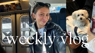weekly vlog | work, play, a birthday, etc