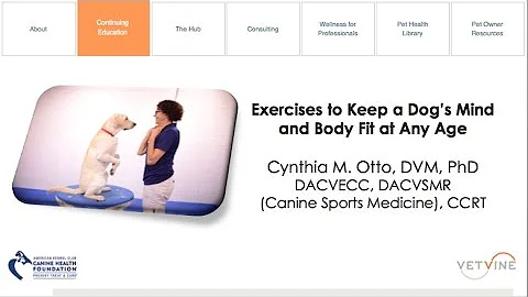 Keeping a Dog's Mind and Body Fit
