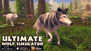 Ultimate Gray Wolf Simulator, Live The life of A Wolf screenshot 4