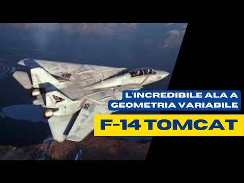 F-14 Tomcat: perché l'ala a geometria variabile?