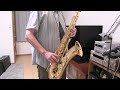 望郷（森進一）テナーサックス演奏20241020