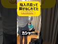 脚が捩れる「隠れた原因」をリセット!o脚諦めないで!