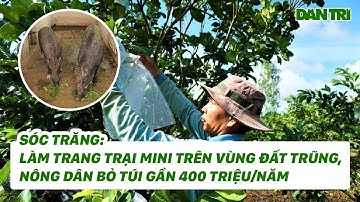 Sóc Trăng: Làm Trang Trại Mini Trên Vùng Đất Trũng, Nông Dân Bỏ Túi Gần 400 Triệu/Năm #Shorts