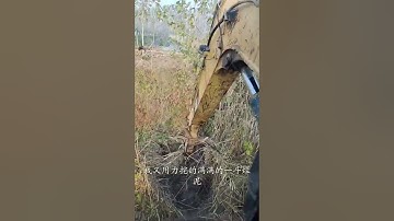 Awesome Excavator Operator Skills - Excavator Operator With Highly Precise Skills  EP42 #Shorts