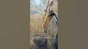 Awesome Excavator Operator Skills - Excavator Operator With Highly Precise Skills  EP42 #Shorts
