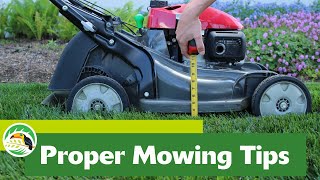 Proper Mowing Tips